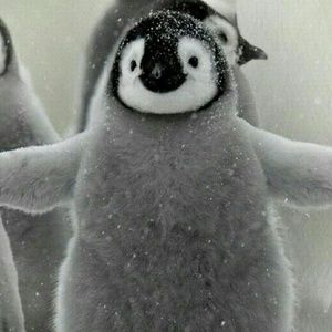 Meet your Posher, Lanna