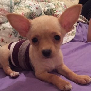 Meet your Posher, Keith