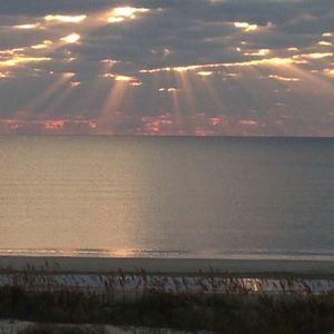 Meet your Posher, Leann