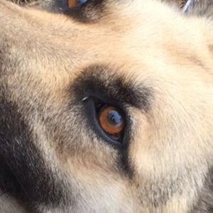 Meet your Posher, Tyrel