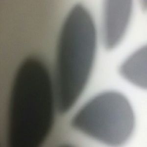 Meet your Posher, Tonae