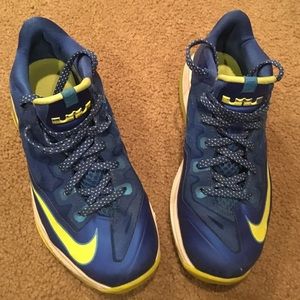 Nike Lebron  lows