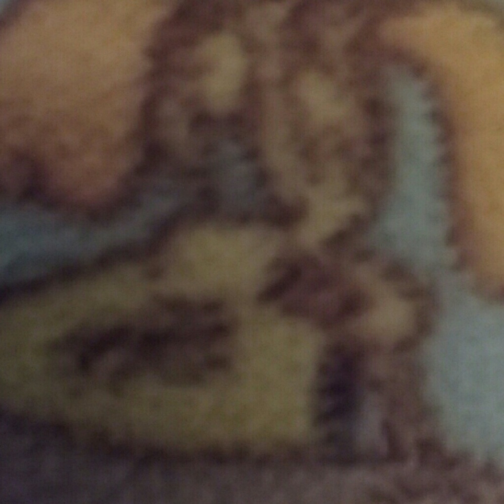 Meet your Posher, Tina