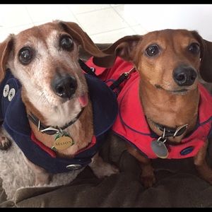 Meet your Posher, Julie