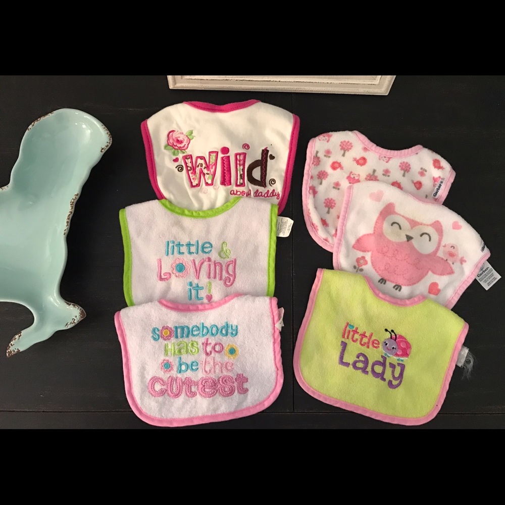 Bundle of 6 Baby Girls Bibs