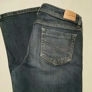 Aeropostle chelsea bootcut