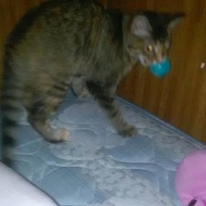 Meet your Posher, Samantha