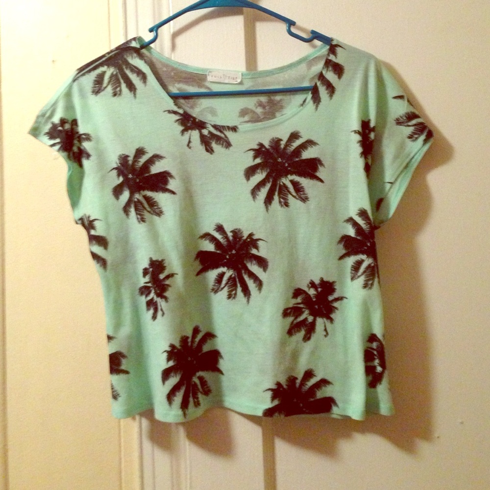 😘 Teal Palm Tree Beach Crop Top