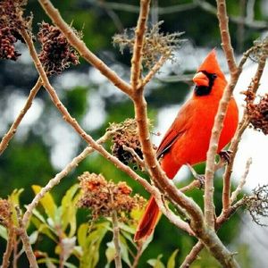 Meet your Posher, Caryn