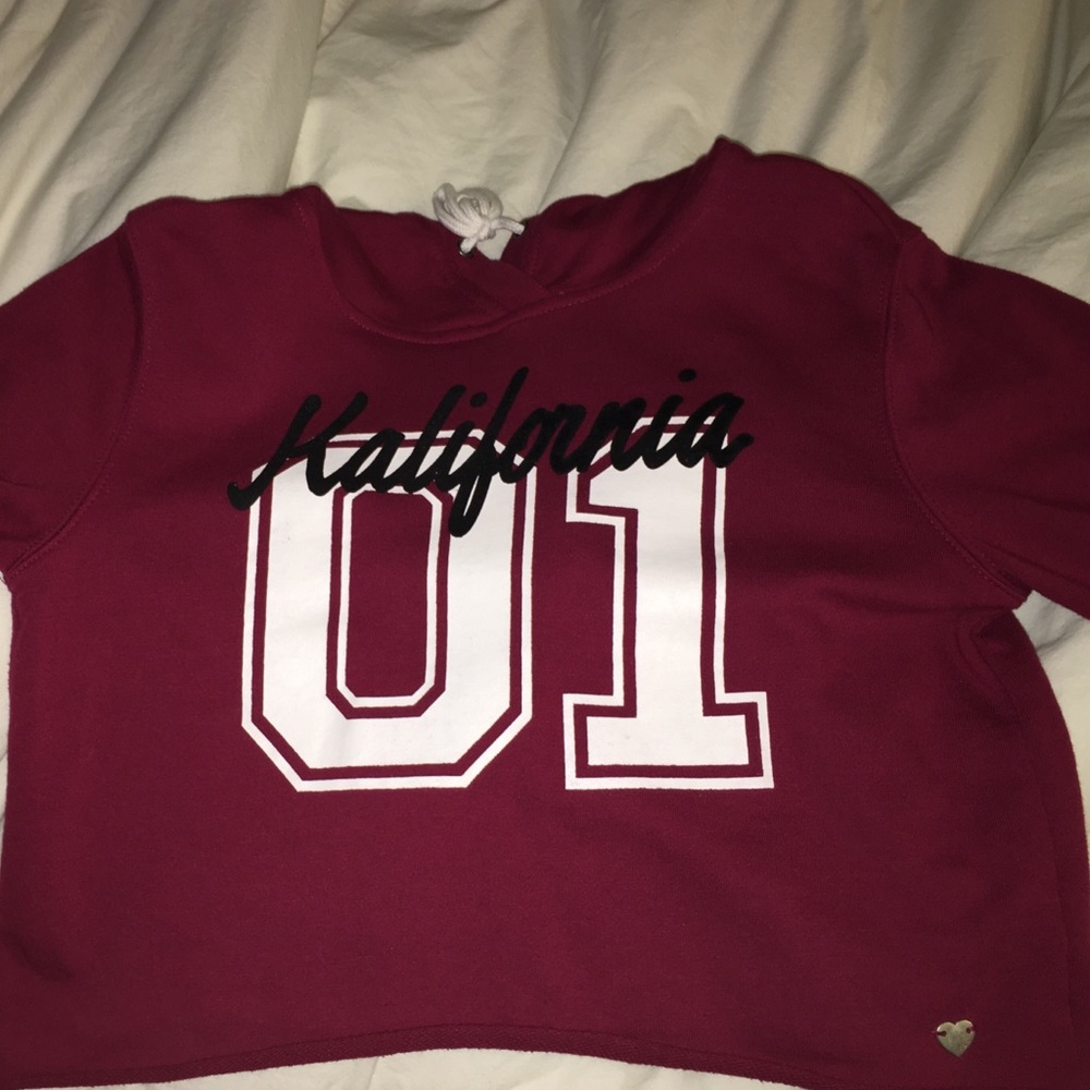 Rare Kendall and Kylie Maroon Cropped Hoodie