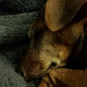 Meet your Posher, Cathy