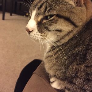 Meet your Posher, Char