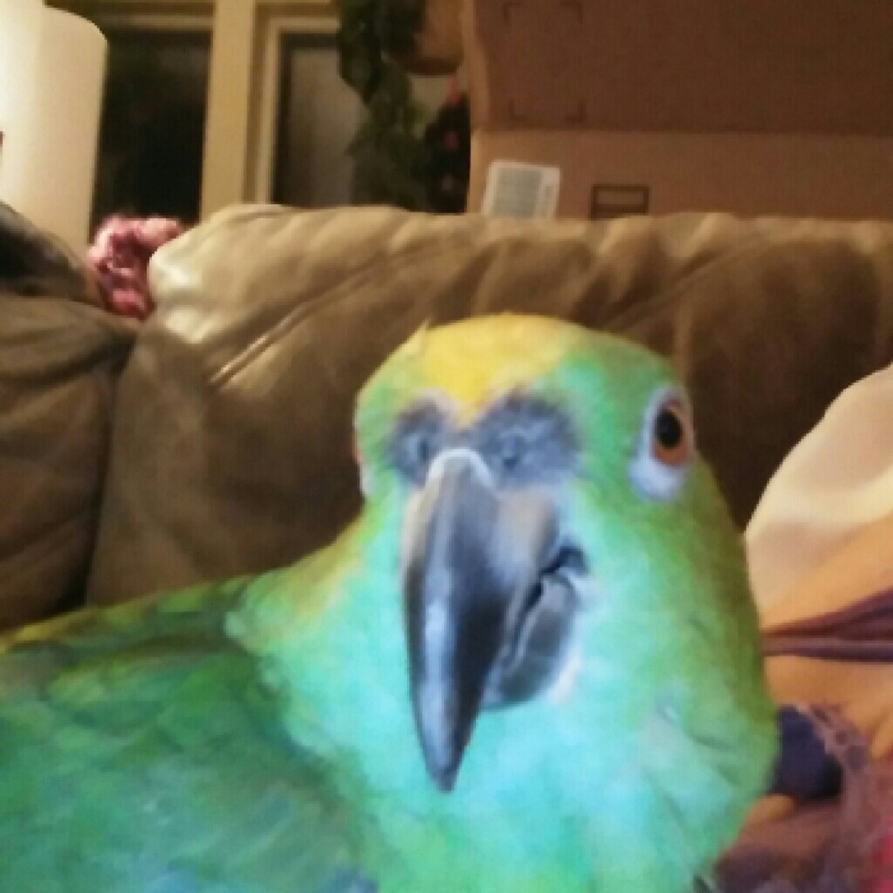 Meet your Posher, Beth