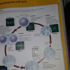 Meet your Posher, Serenity