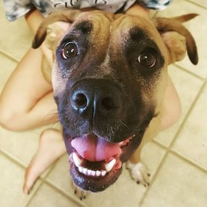 Meet your Posher, Brandy