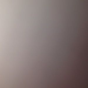 Meet your Posher, Ralph