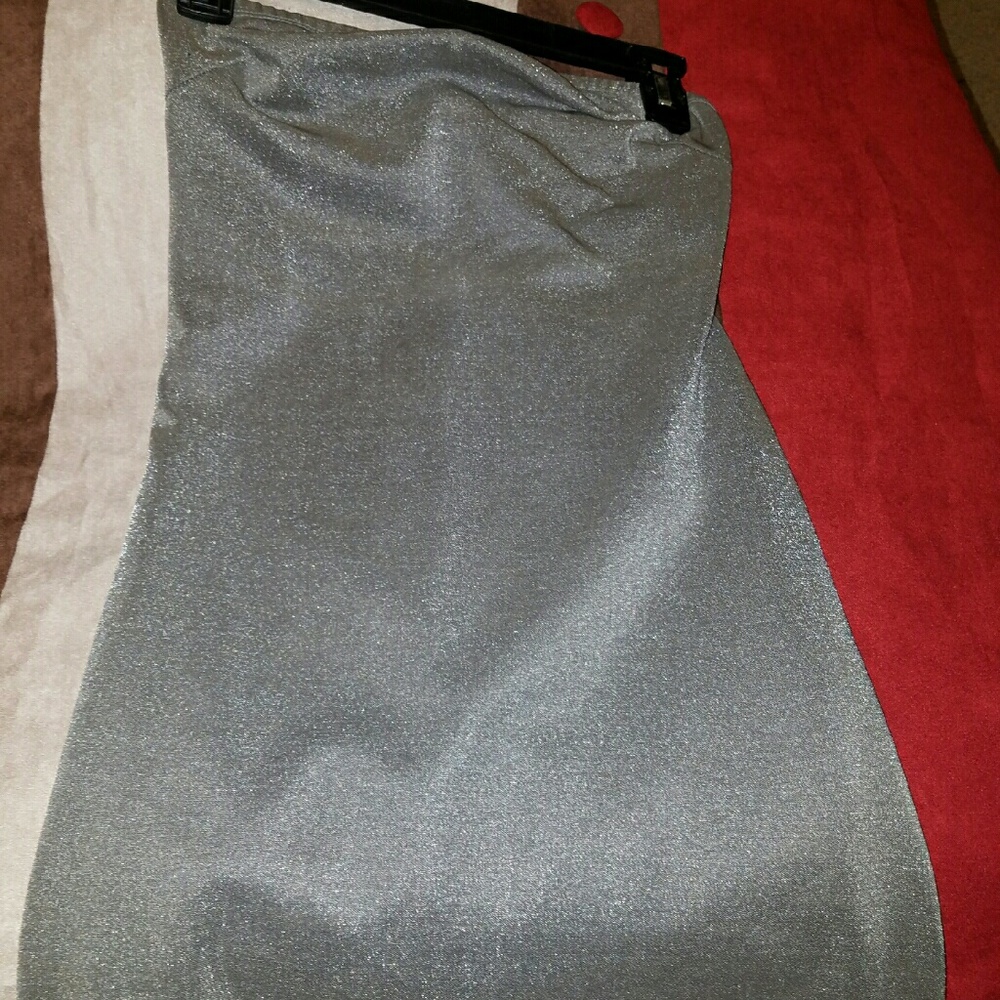 Silver Tube top dress