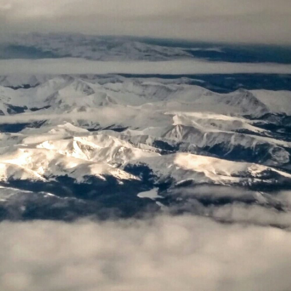 Meet your Posher, Julie