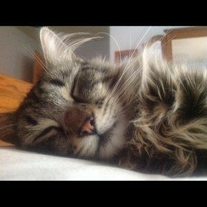 Meet your Posher, Catherine