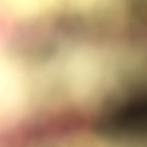 Meet your Posher, Bella