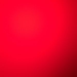 Meet your Posher, Gracie