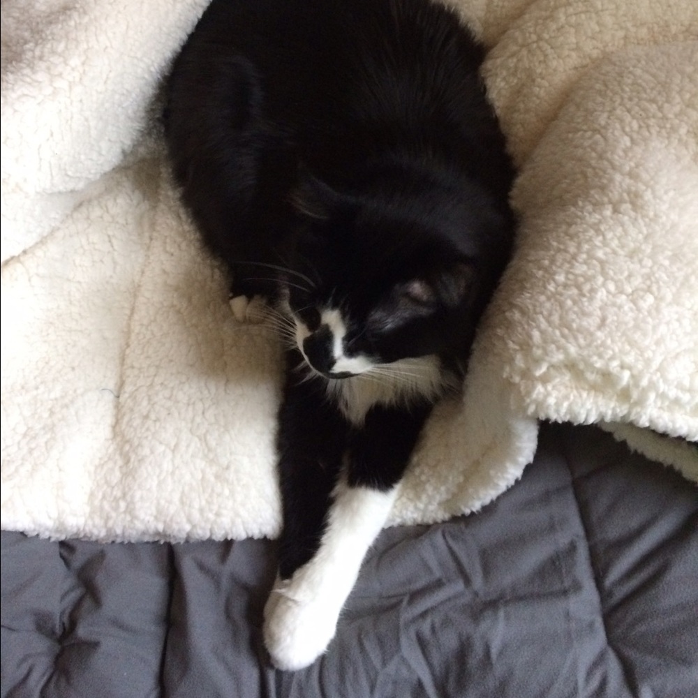 Meet your Posher, Michelle