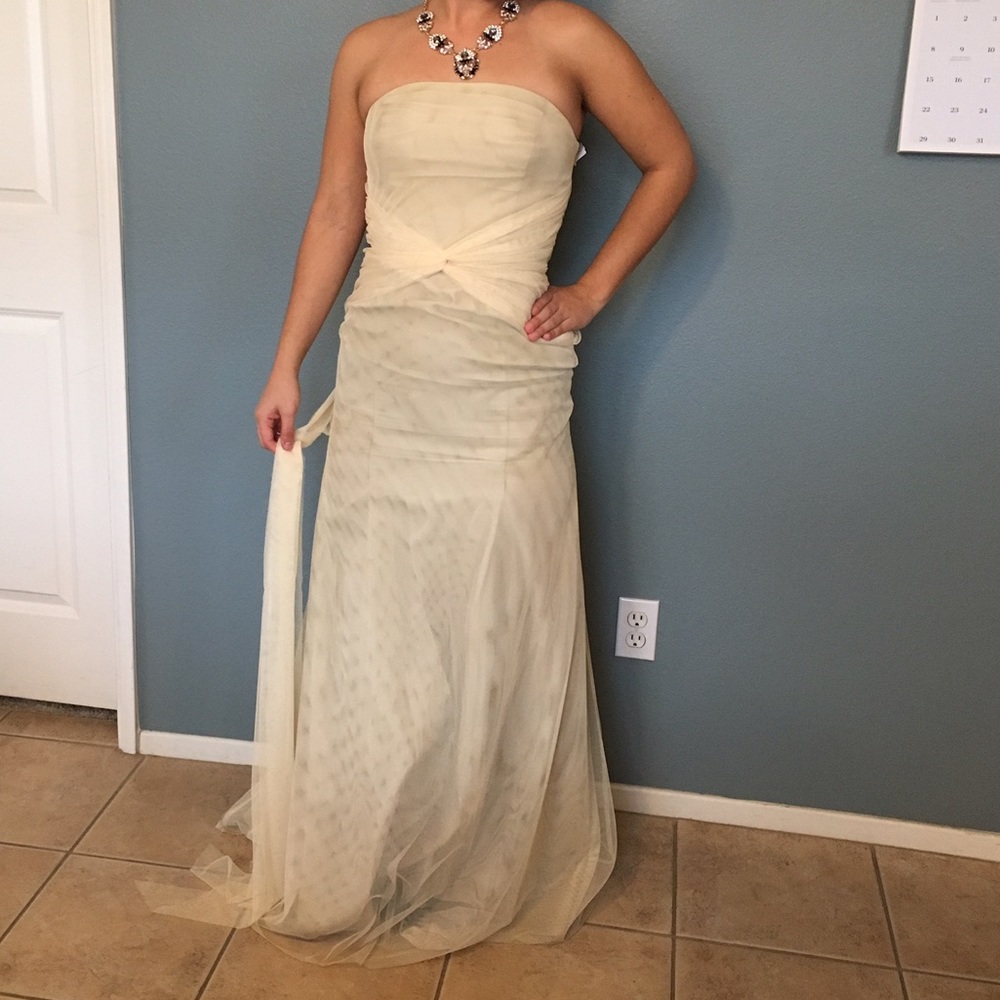 Vera Wang Dress