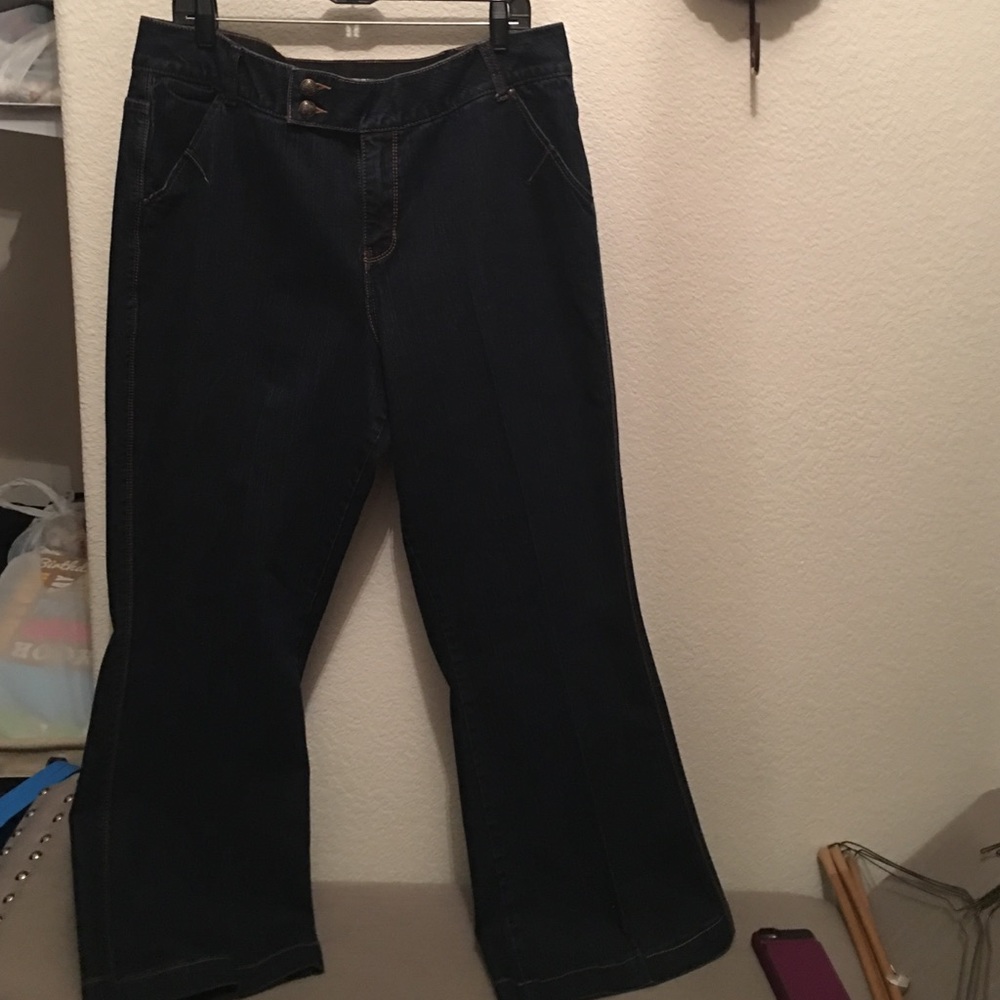 Lane Bryant Flare Tighter Tummy technology size 18