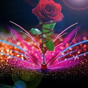 Meet your Posher, Daniela