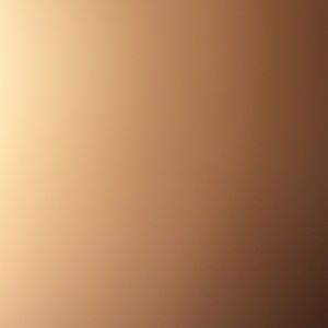 Meet your Posher, Ernesto