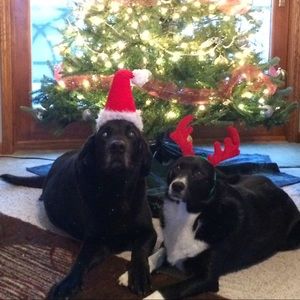 Meet your Posher, Taryn