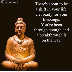 Meet your Posher, Anne