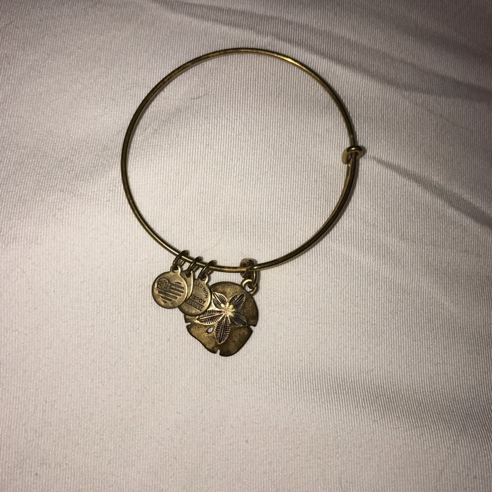 Alex and Ani bracelet