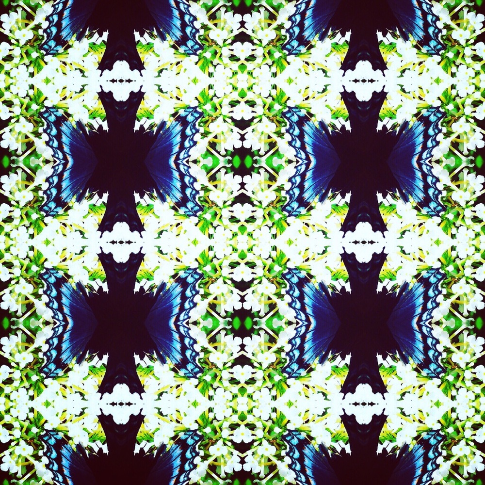 Meet your Posher, Sachalyn