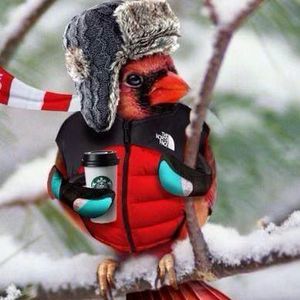 Meet your Posher, Wendy