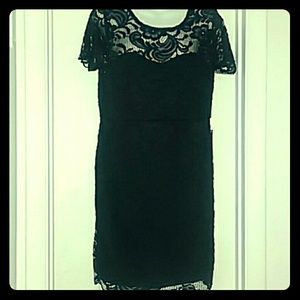 LITTLE LACE DRESS