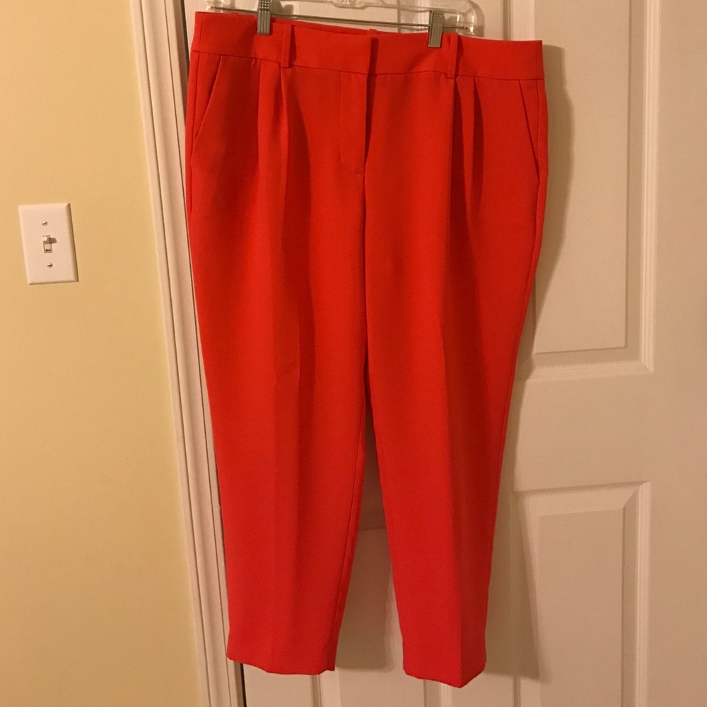 Coral dress pants
