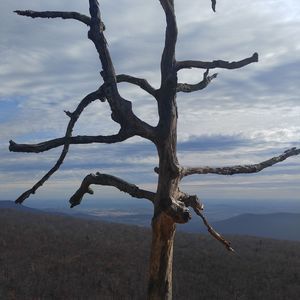 Meet your Posher, Nathan