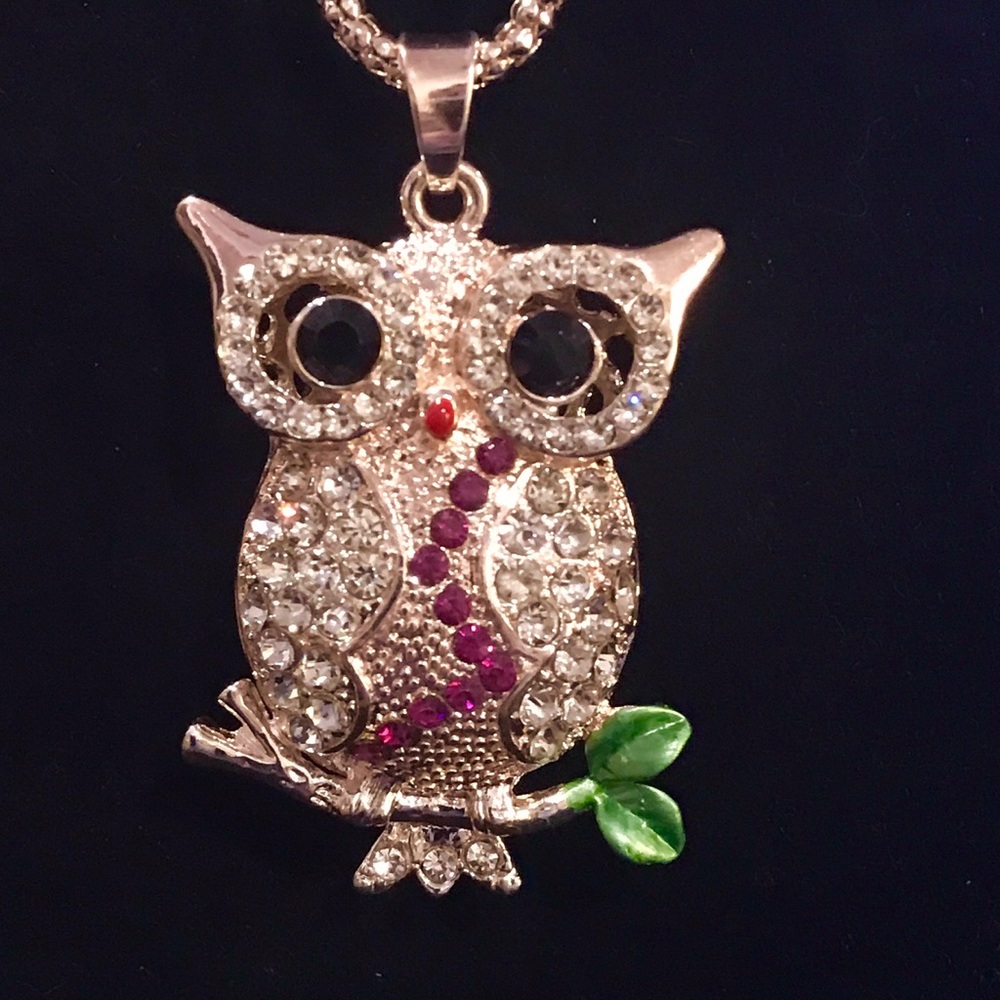 NWT Betsey Johnson Owl Pendant & Necklace