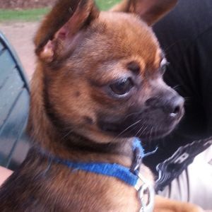 Meet your Posher, Crystal