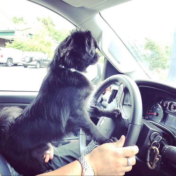 ❤ Meet your Posher ❤ - Picture 4 of 7