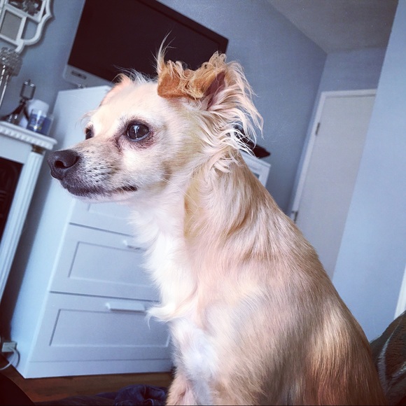 ❤ Meet your Posher ❤ - Picture 5 of 7