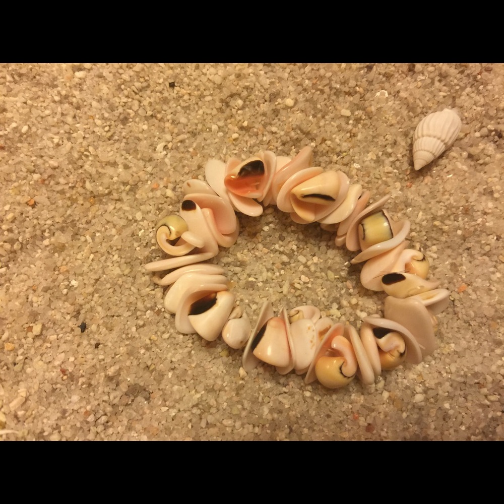 Shell bracelet