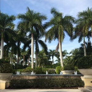 Meet your Posher, Katy