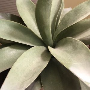 Meet your Posher, Katelyn