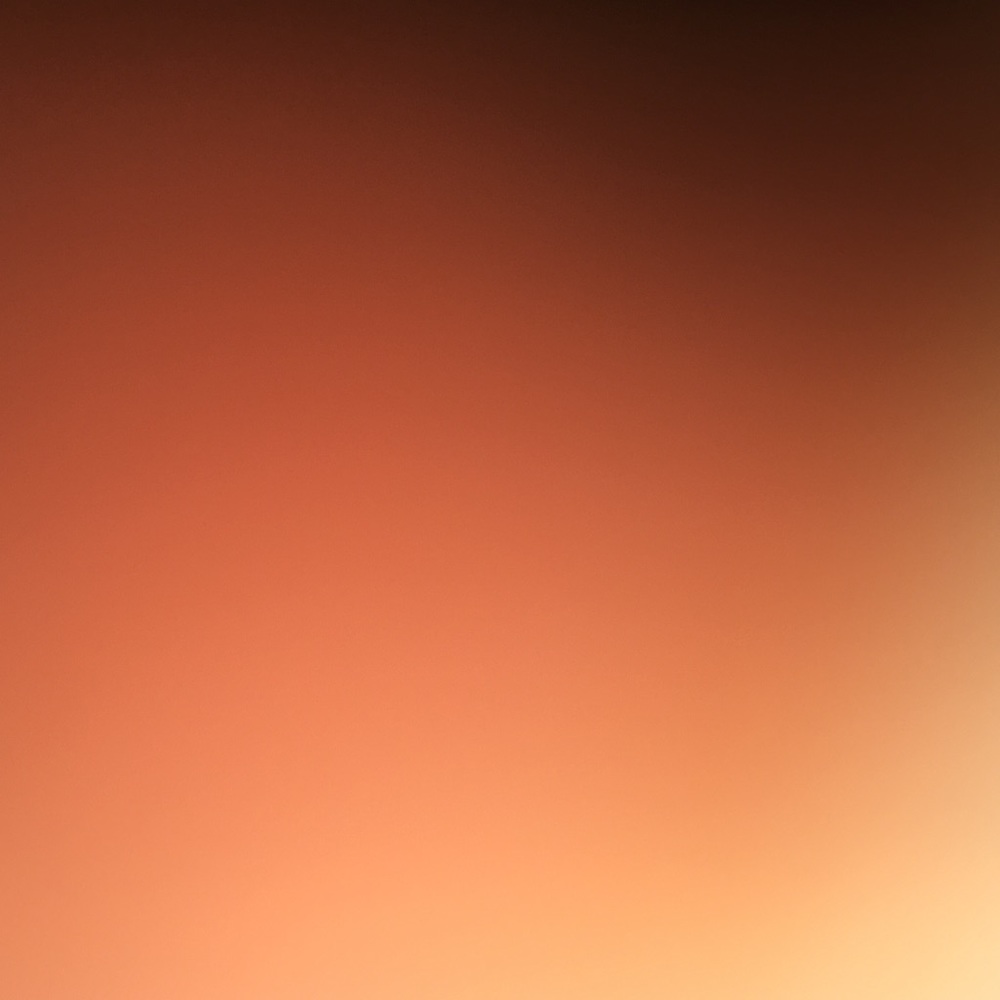 Meet your Posher, Charlotte