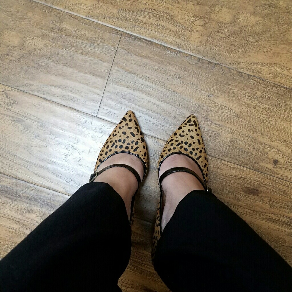 Meet your Posher, Joyce