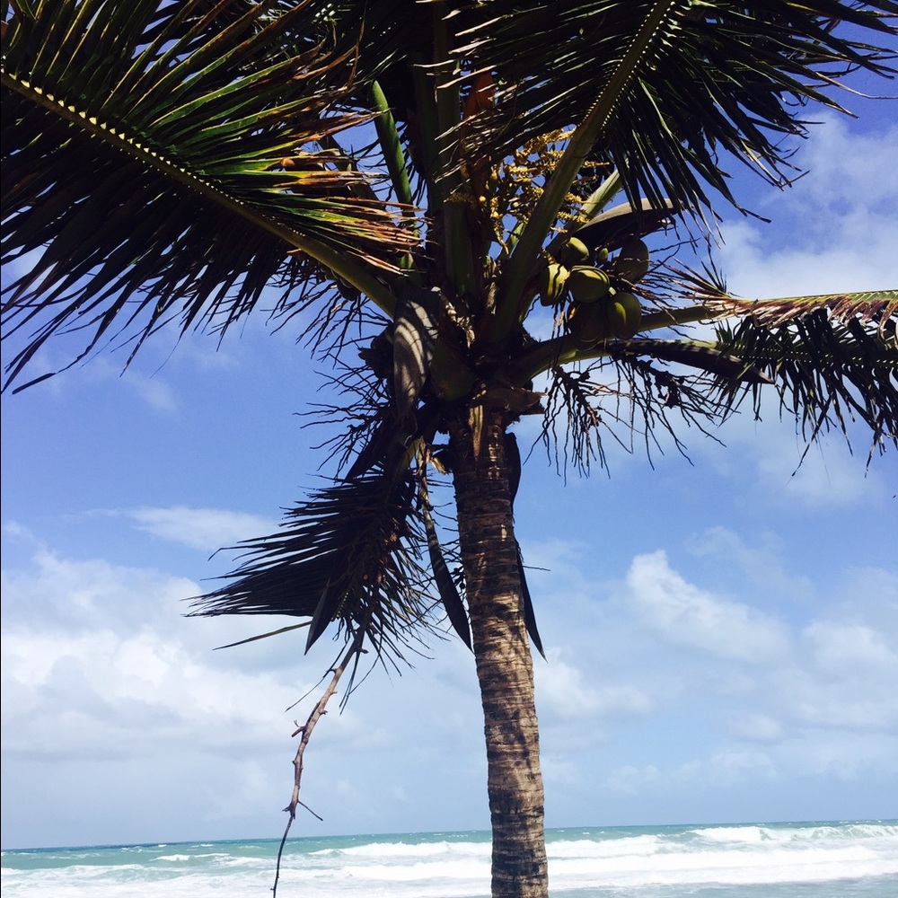 Meet your Posher, Jamie