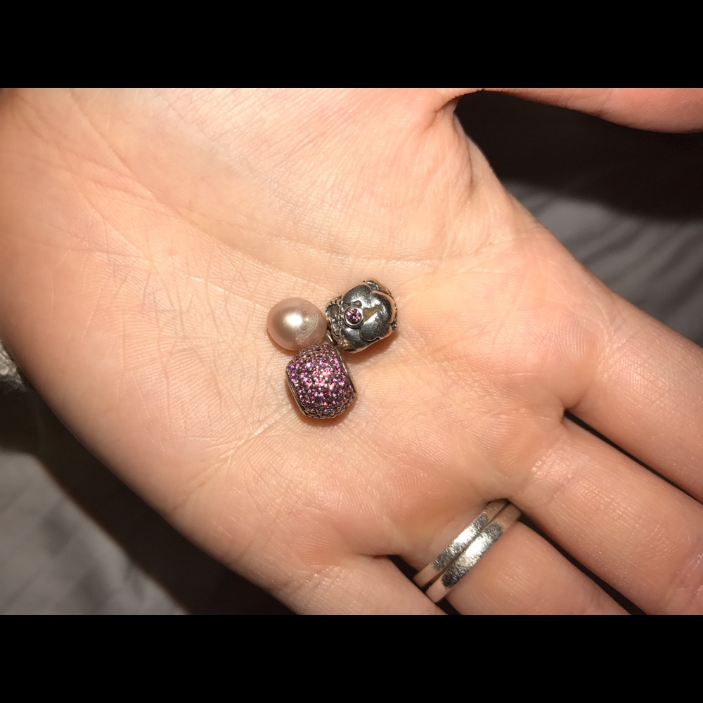 Pandora charms