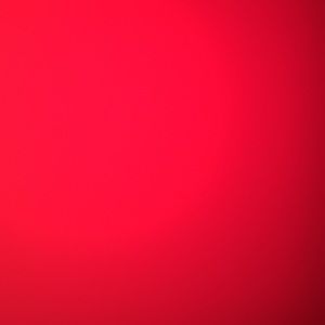 Meet your Posher, Lucy